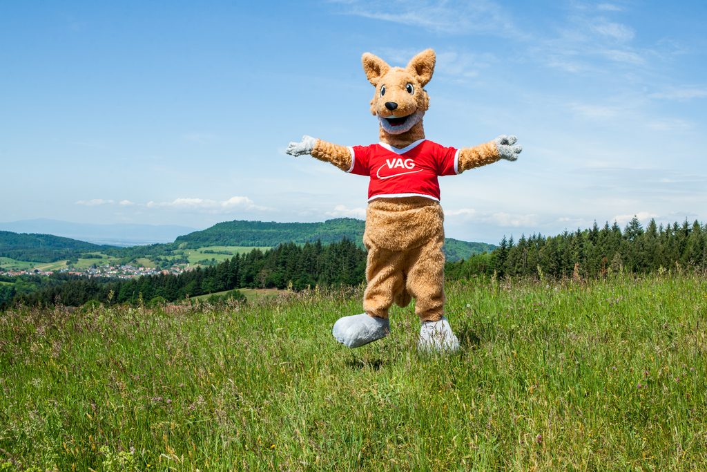Babu hüpft auf einer Wiese in Horben. Im Hintergrund Weitblick.